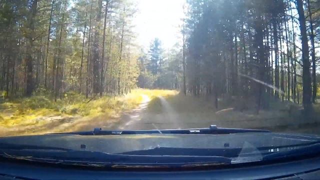 за грибами смотреть онлайн