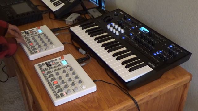 Jazz Hands - Korg Wavestate - Elektron Model:Samples X2 смотреть онлайн