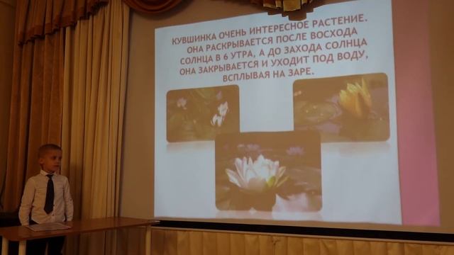 Растения Красной книги смотреть онлайн