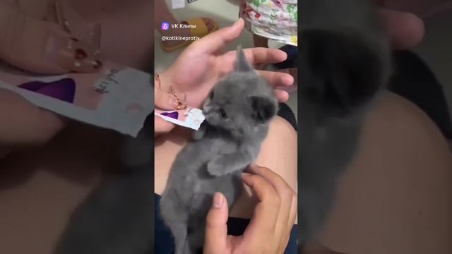 очень вкусно