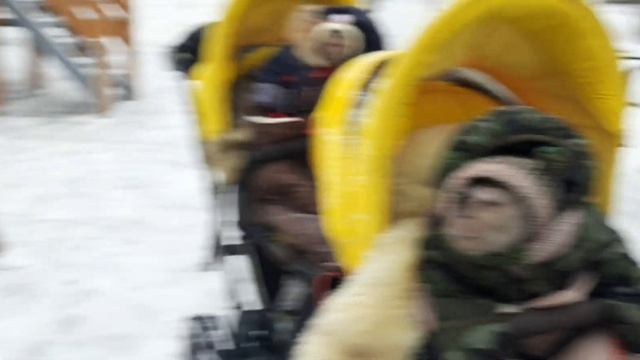 Внезапное падение, ШОК контент /смотреть до конца, месть #monkey #обезьяна #macaque #capuchinmonke смотреть онлайн