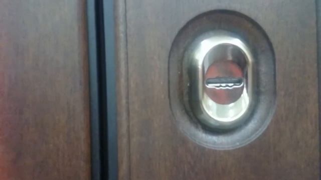 Входная дверь Treviso смотреть онлайн