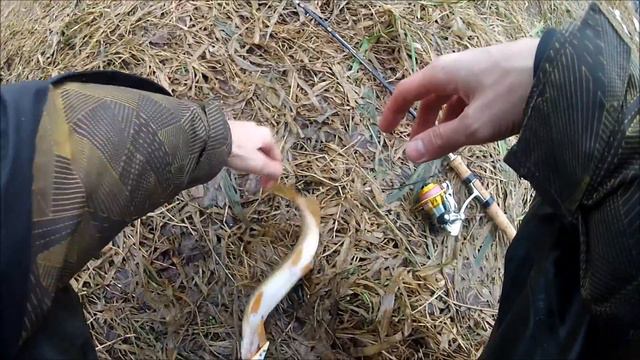 FishComm Shop: Твичинг. Щука на Fishycat Tomcat 80SP-SR