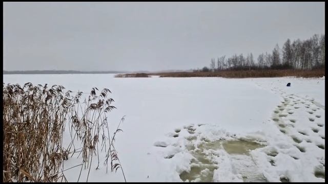 Альбатрос L8 с лыжным модулем. Снегоход в пухляк 30 см. Покатушка на рыбалку. Скорость максималка. смотреть онлайн