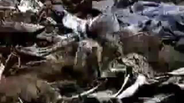 Многоножка против тарантула-Centipede against tarantula. смотреть онлайн
