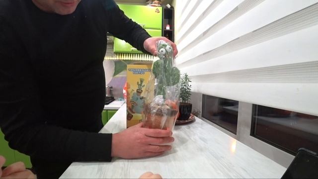 Танцующий говорящий кактус повторюшка игрушка ОБЗОР! Ребенок в восторге. смотреть онлайн