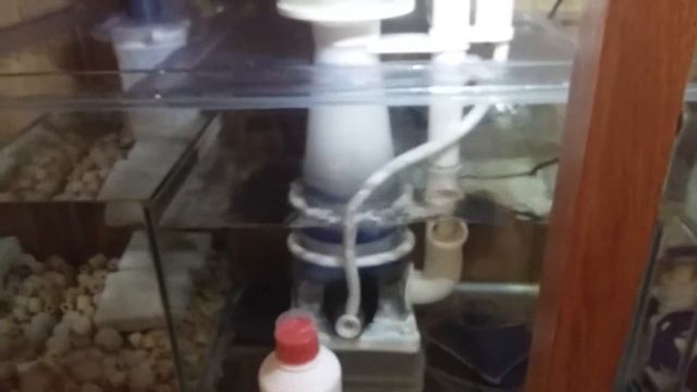 Reef skim 500 protine skimmer смотреть онлайн