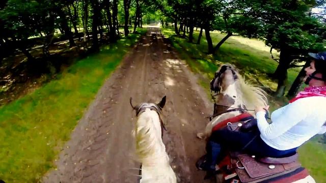The Mill Ranch // Beginnersrit Type 2 // 13-08-2016 (korte versie) смотреть онлайн