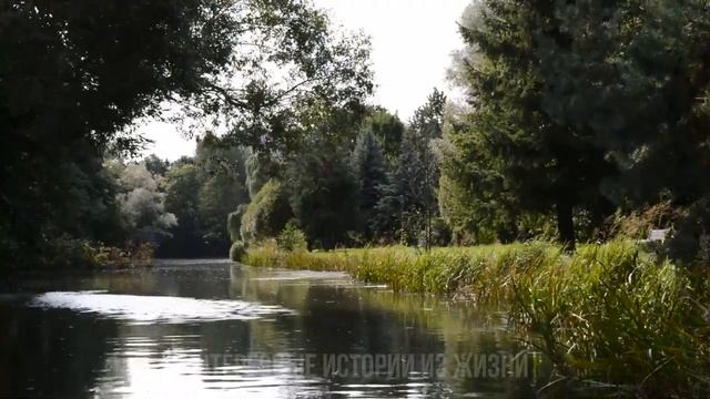 СОСЕД ЗАЛЕЗ НА МОЮ ЖЕНУ НА ДАЧЕ. Интересные истории из жизни. Жизненные истории, аудио рассказы смотреть онлайн