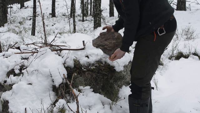 Building A Winter Bushcraft Shelter - Lean-to Survival Shelter In Snow