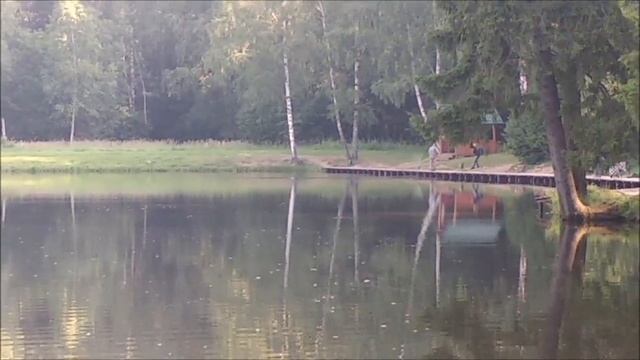 Большая стая сига летом. Сиг выживает в тёплой воде! Утренняя поимка осетра. клёвое место лосиный смотреть онлайн