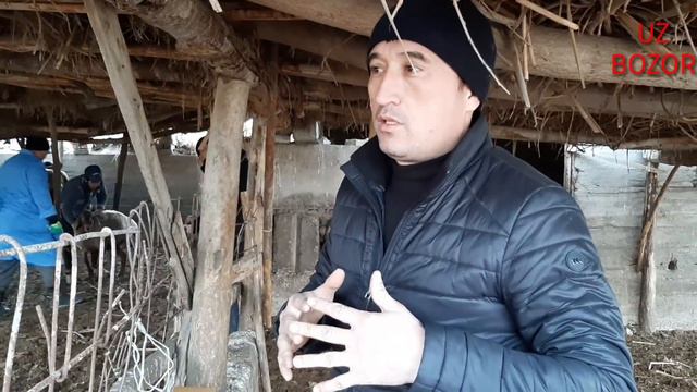 КУЙ БОКИШ СИРЛАРИ. АЙТИЛМАГАН СИР 3- КИСИМ