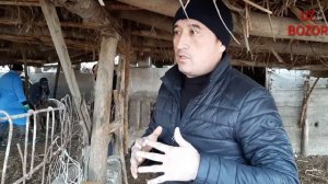 КУЙ БОКИШ СИРЛАРИ. АЙТИЛМАГАН СИР 3- КИСИМ