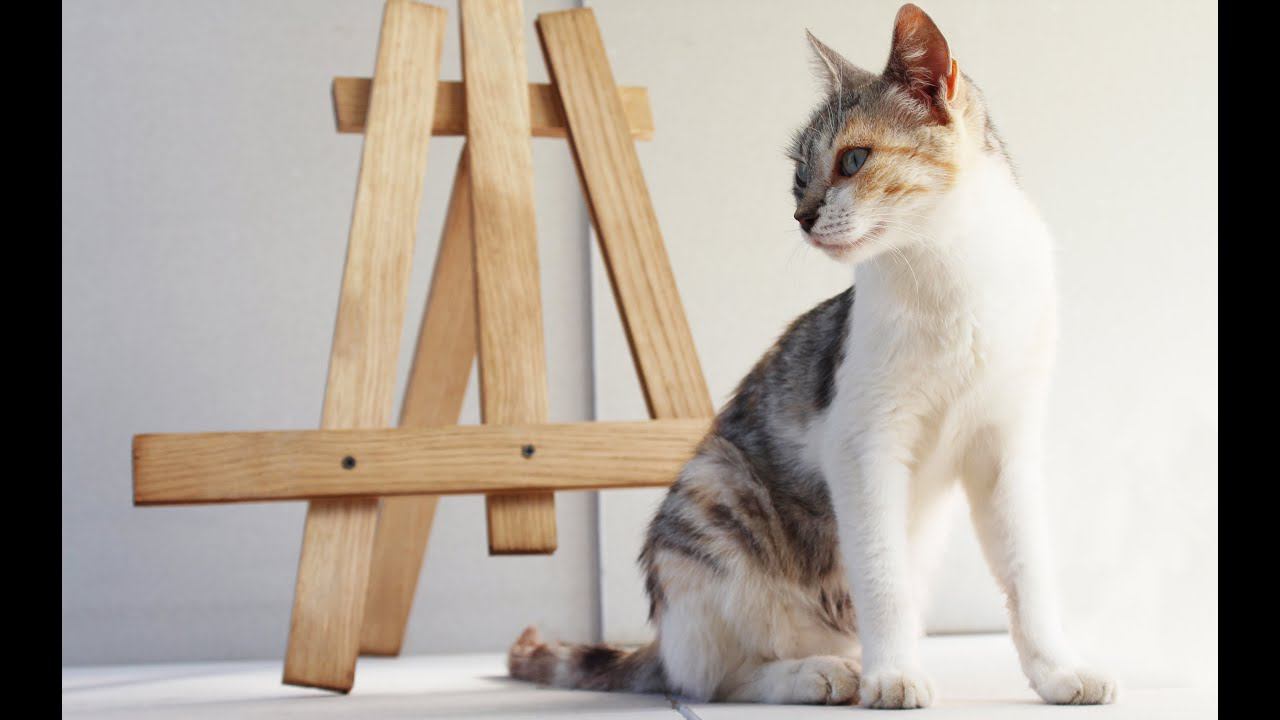 Как Сделать Настольный Мольберт Своими Руками? смотреть онлайн