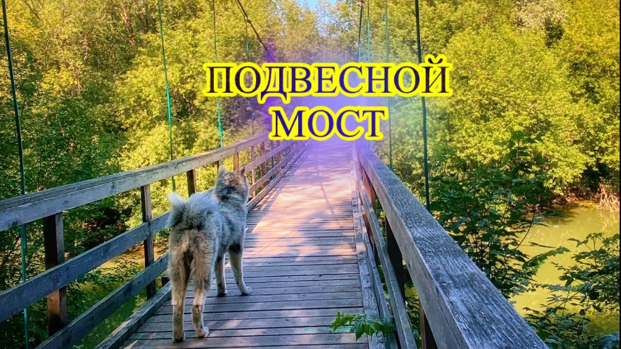 Подвесной Мост смотреть онлайн