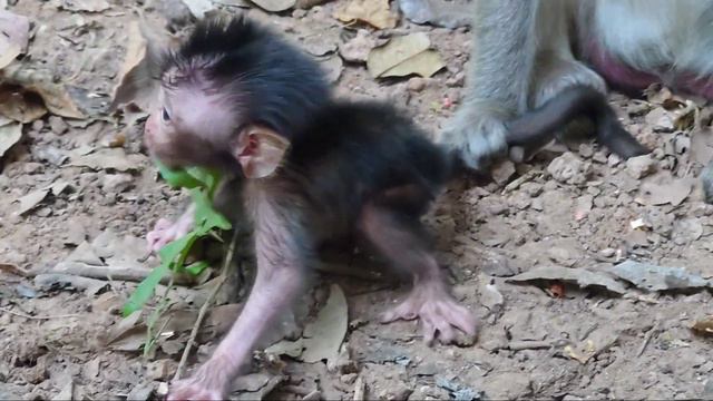 post most chasig fall up baby смотреть онлайн