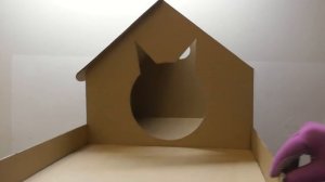Как сделать домик для кота из картона