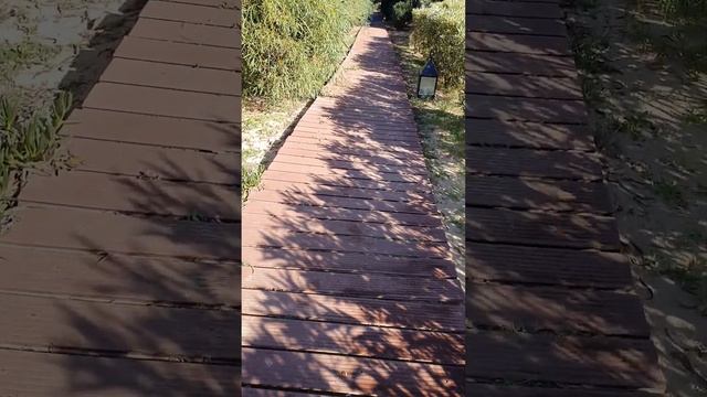 Carthage thalasso Gammarth Tunis Décembre 2022 смотреть онлайн