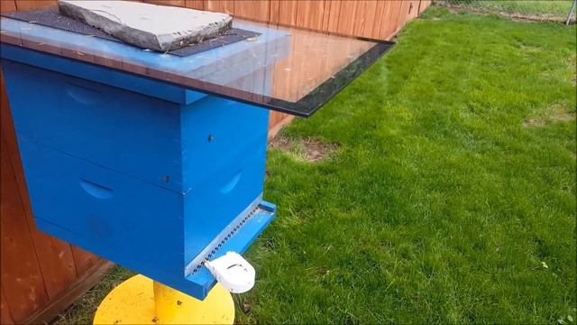 Fixing my Backyard Drainage Issues (Rain = Duck Pond) смотреть онлайн