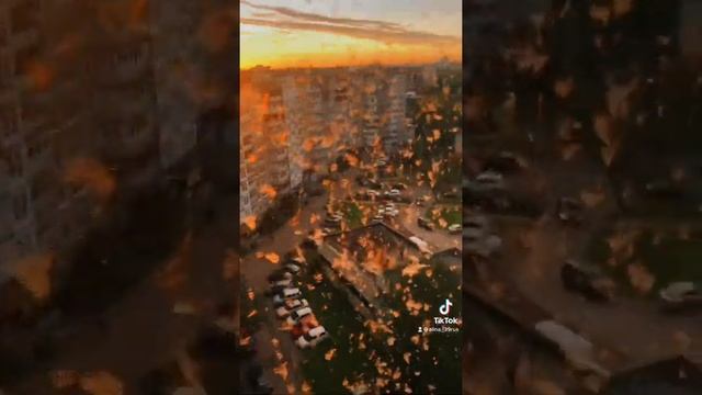 Пух камыша смотреть онлайн
