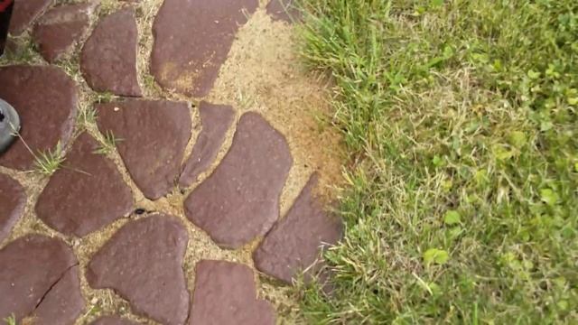 Уничтожение муравьёв|дача #1| смотреть онлайн