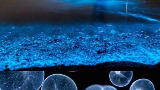 ATİLLA İLHAN-AYSEL GİT BAŞIMDAN SESLENDİREN: MEHMET KAZIM KARATAŞ смотреть онлайн