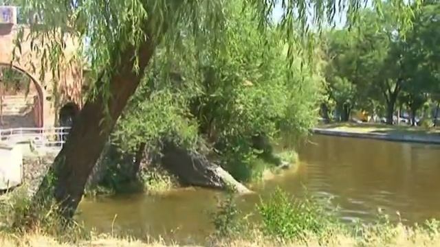 Дюк де Ришелье и Дюковский сад смотреть онлайн