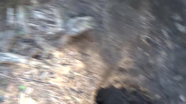 ЗОЛОТО СТАРИННОГО ПРИИСКА!!! смотреть онлайн