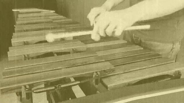 Andrei Pushkarev: "The Simple Polka" for Solo Xylophone смотреть онлайн