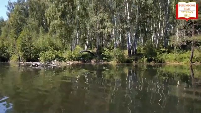 Вендров Андрей Владимирович «ДОСТОЯНИЕ ГУБЕРНИИ» 1 часть. смотреть онлайн