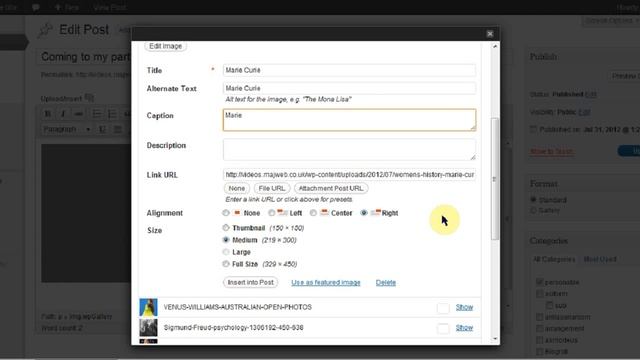 Editing thumbnails in Wordpress смотреть онлайн