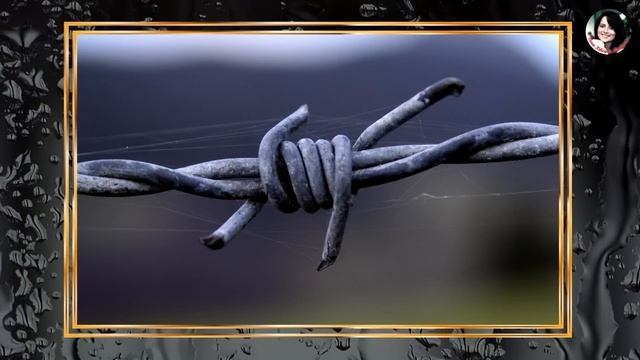 МЁРТВЫЕ МАТЕРИ И ИХ ПОТОМКИ. НАРЦИССЫ, ПОГРАНИЧНИКИ, И ПСИХОТИКИ. (лекция Сэма Вакнина) смотреть онлайн