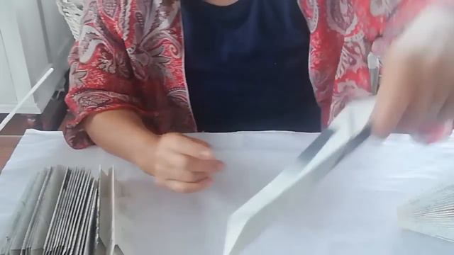 Hoe om 'n protea te vou. смотреть онлайн