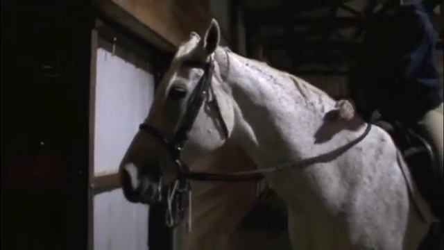 Dressage interview with the BBC смотреть онлайн