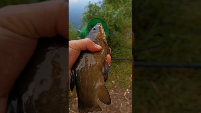 На рыбалке смотреть онлайн