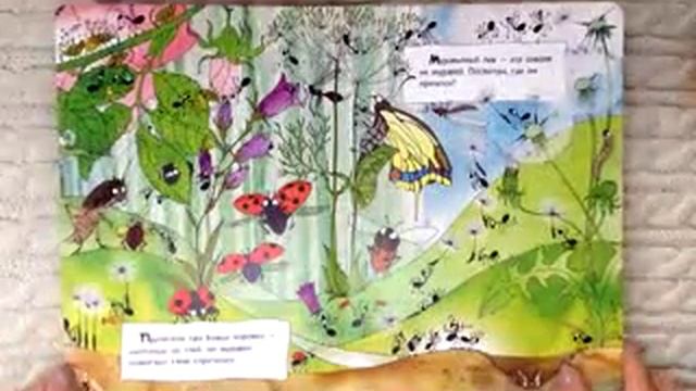 Что делают муравьи? Книжка-картонка 0+ смотреть онлайн
