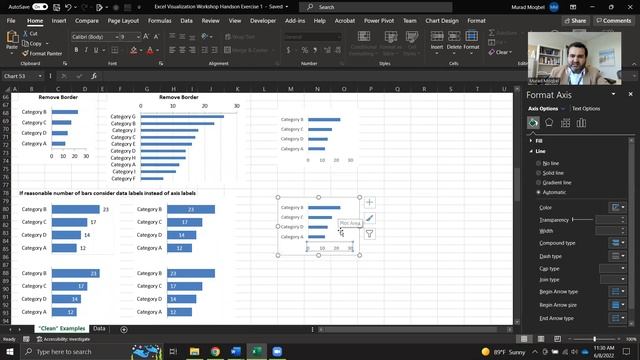 Data Visualization with Excel Exercise