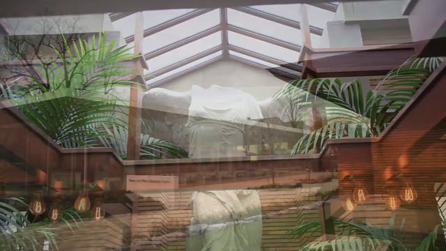 Frank Lloyd Wright Martin House Domestic Symphony смотреть онлайн