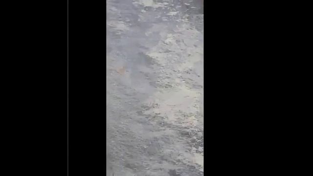 Разлив нефтепродуктов по реке Кизань в Астраханской области смотреть онлайн