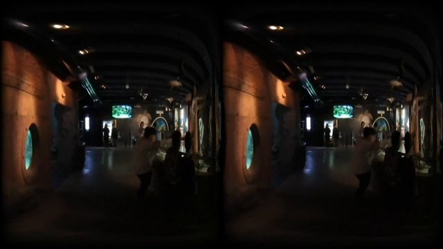 Russia - St Petersburg - Aquarium/Okeanarium 02 (VR180) смотреть онлайн