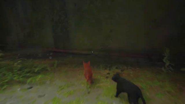 Прохождение Stray | Внутри стен смотреть онлайн