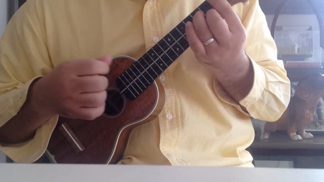 Girl From Ipanema ukulele cover /イパネマの娘　ウクレレソロ смотреть онлайн