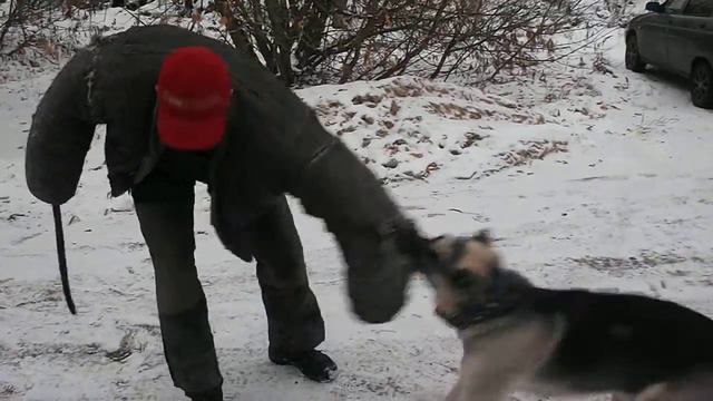 DSCF1066= смотреть онлайн
