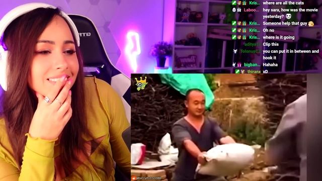 TOTAL IDIOTS AT WORK ? | Bunnymon REACTS смотреть онлайн