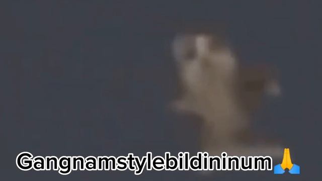 Mina Mintip? Unheard Lirik!1!1?