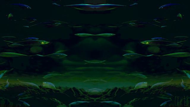 Qu-Bit Mojave, Nautilus, Surface, Pladask Elektrisk Dradd, Rossum Panharmonium, 1010 Music Bluebox. смотреть онлайн