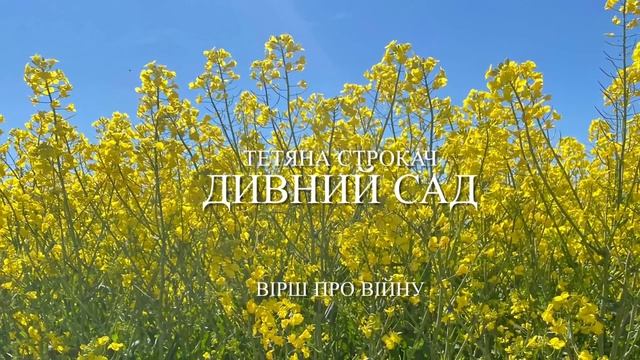 Тетяна Строкач «Дивний сад» смотреть онлайн
