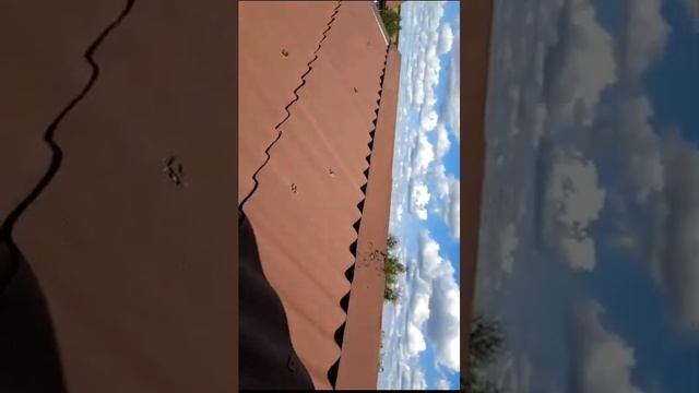 ЛКМ СССР ОТЗЫВЫ