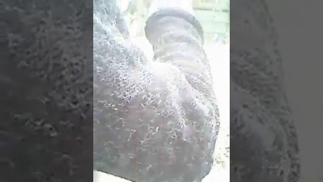 Дом после обстрела в городе Счастье (Луганская область 4 июня 2014 года) смотреть онлайн