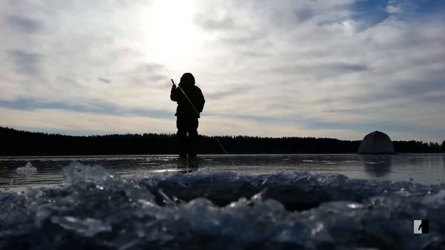 тащу большого леща! смотреть онлайн